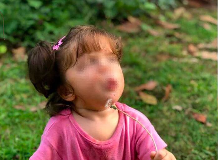 Velletri, caso Lavinia Montebove, al processo sarà cruciale il racconto di una bambina