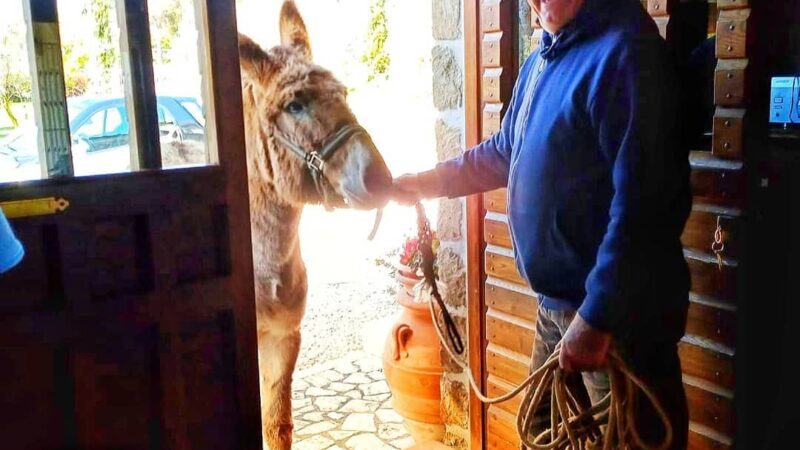 Genazzano, lutto per la cittadina: un incidente porta via Enzo Sebastianelli, le condoglianze del sindaco