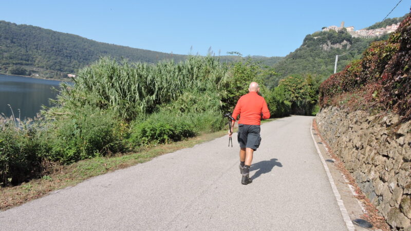 Nemi: Punto da vespe, va in shock anafilattico,  salvato dall’intervento dei carabinieri e di un’amica