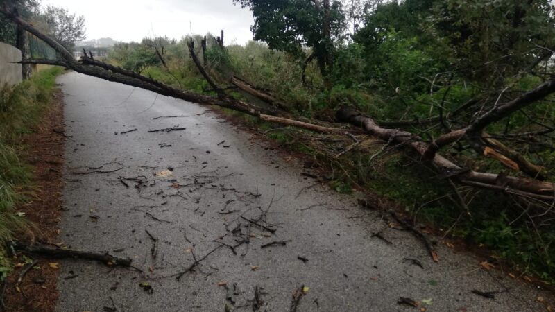 Maltempo, allerta meteo gialla per temporali domani 15 dicembre: 5 regioni a rischio