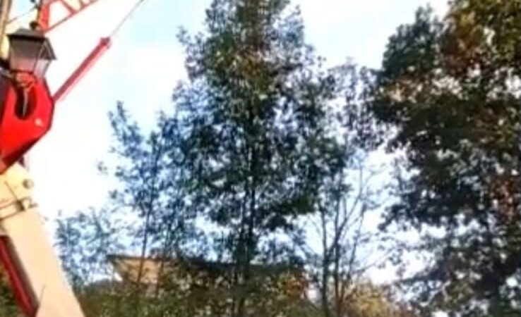 Norma (Latina) vigili del fuoco salvano pilota di parapendio impigliato su un albero