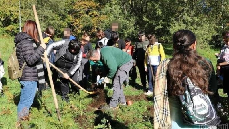 Ariccia: Questa mattina a Collepardo la tradizionale festa dell’albero