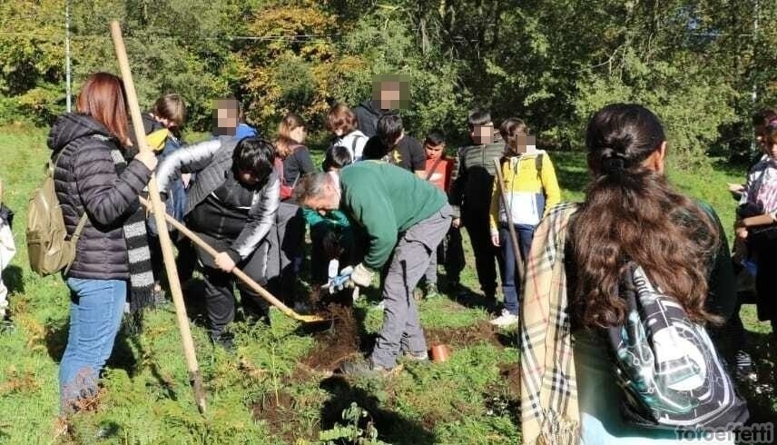 Ariccia: Questa mattina a Collepardo la tradizionale festa dell’albero