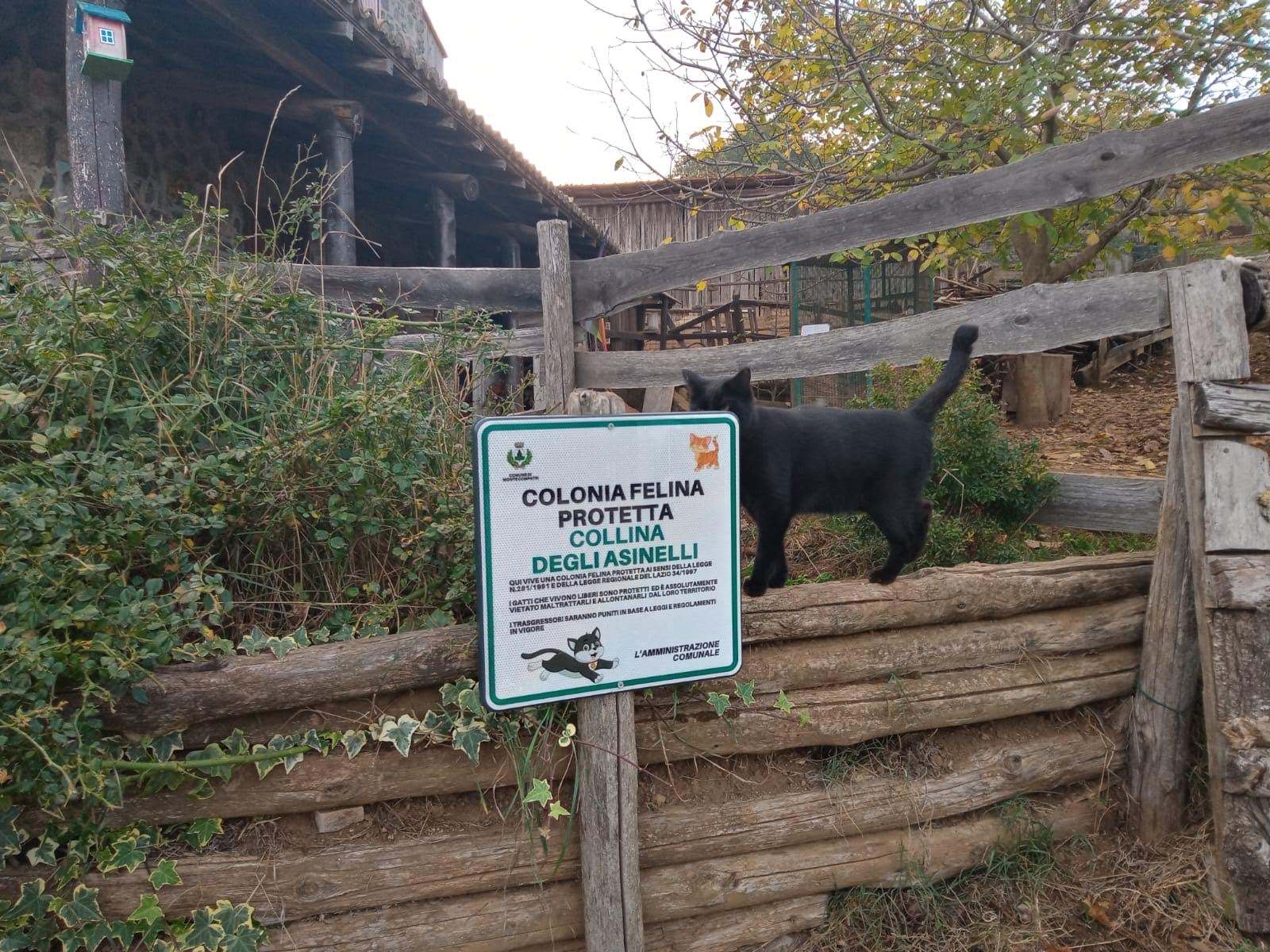 Monte Compatri, installate le targhe per segnalare la presenza di colonie feline