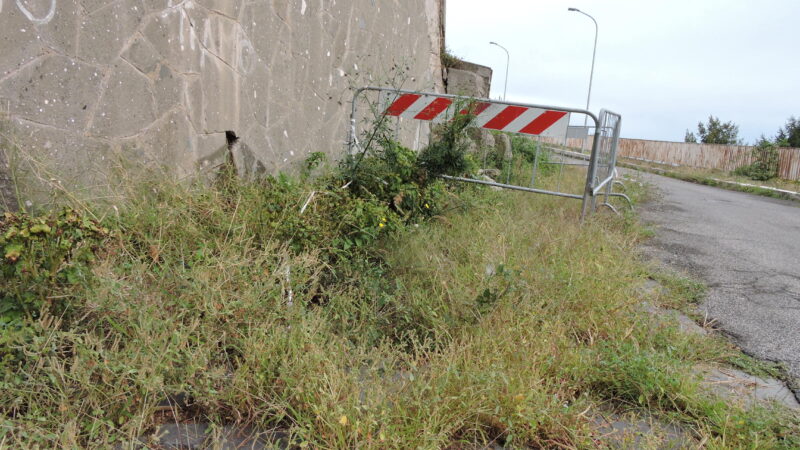 Lanuvio: Degrado, erba incolta, crollo del muro, in via delle Selci Larghe. Cittadini e consiglieri comunali chiedono pulizia e messa in sicurezza