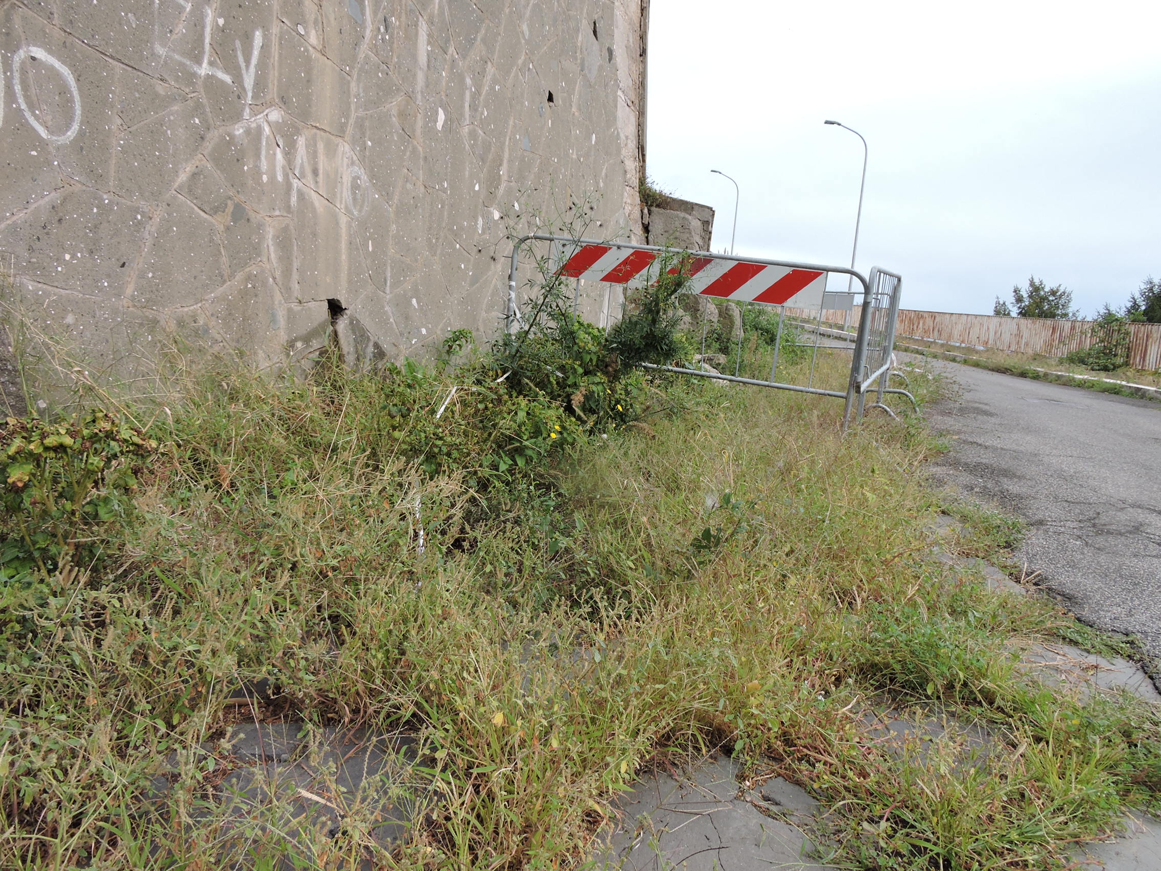 Lanuvio: Degrado, erba incolta, crollo del muro, in via delle Selci Larghe. Cittadini e consiglieri comunali chiedono pulizia e messa in sicurezza