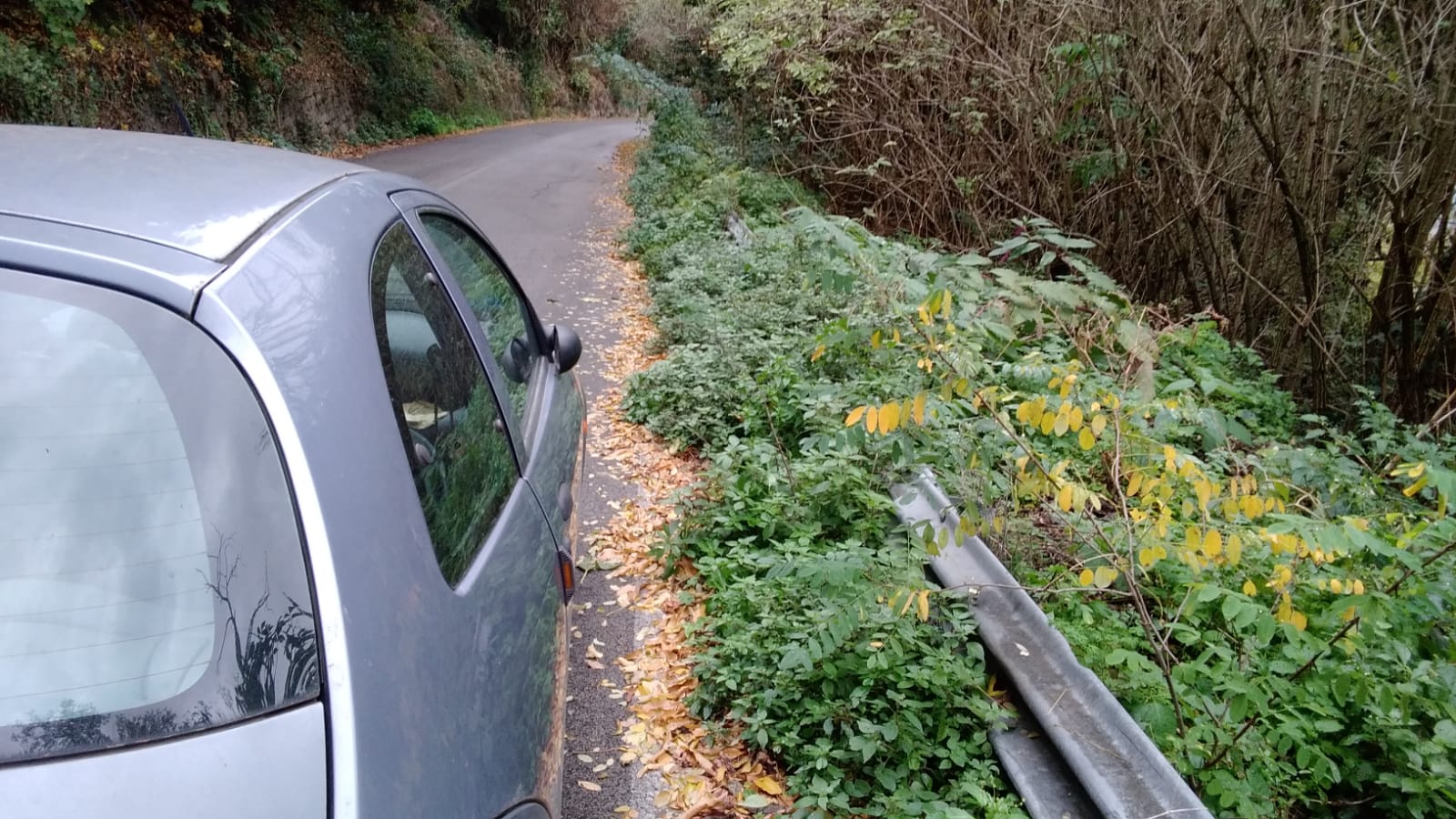 Genzano, via Diana invasa dalla folta vegetazione pericolo per automobilisti e pedoni verso il lago