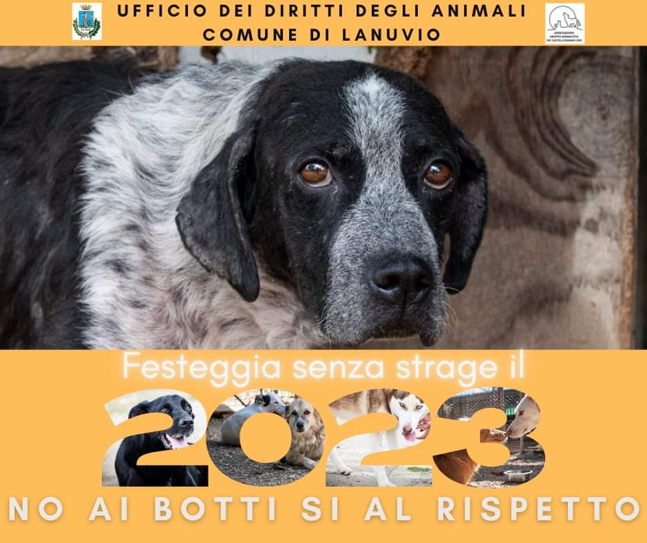 Lanuvio – Ass. Di Pietro: Ordinanza anti botti per salvaguardare anche i nostri amici animali