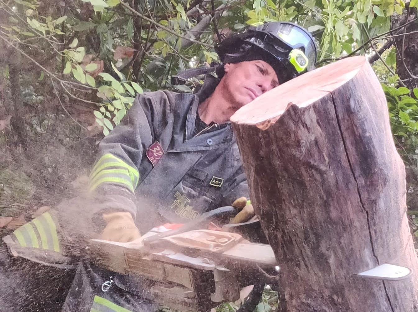 Albano, crolla un albero sul cancello di una villa: chiusa via Miralago