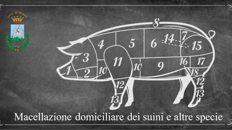 Marino: Macellazione domiciliare dei suini e di altre specie