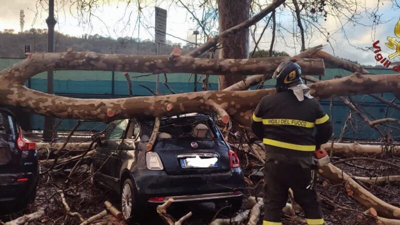 Roma, provincia e Castelli circa 120 interventi per il maltempo dei Vigili del Fuoco