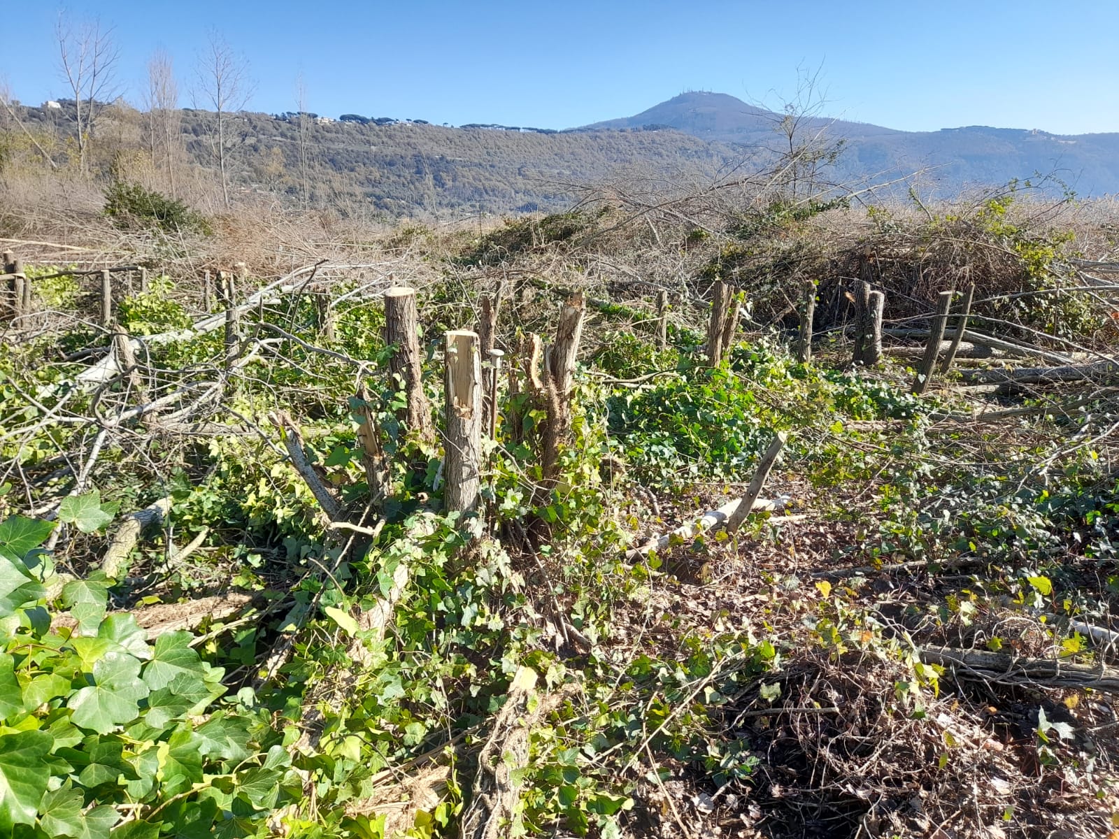 Albano – Ancora uno scempio al villaggio delle macine del lago Albano