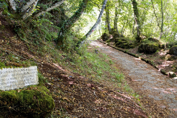 Rocca di Papa – Lungo la Via Sacra, verso l’Occhialone. Alla ricerca di viste mozzafiato, tra storia e natura