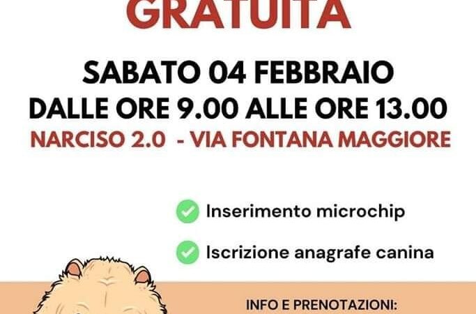 Rocca Priora: Il 4 febbraio giornata di Microchippatura gratuita