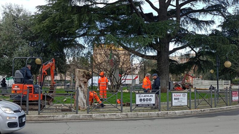 Ambiente a Ciampino, l’Amministrazione dialoga con i cittadini sul programma di abbattimenti di alberi in Città