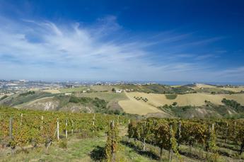 Colline Teramane: una denominazione vinicola, una destinazione enoturistica