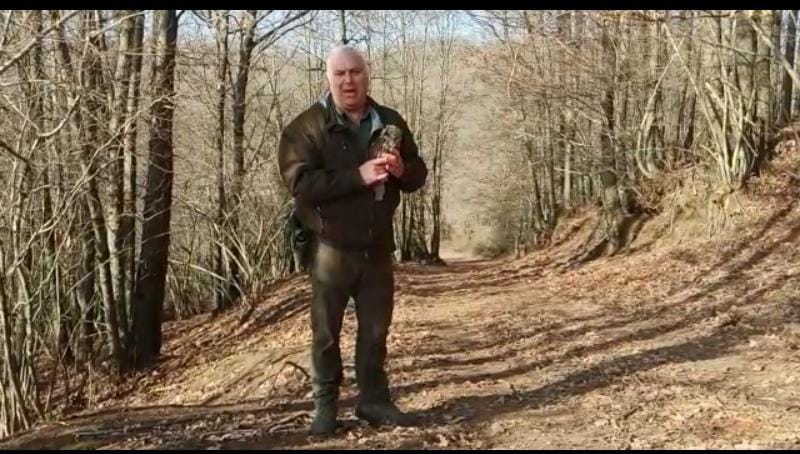 Rocca di Papa: Dopo averli salvati insieme alla LIPU, i guardiaparco liberano nei boschi un allocco e un gheppio