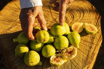 Al via Cilento Tastes, appuntamento con gli artigiani del gusto