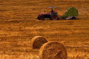 Mascarino: “Industria alimentare interessata a uso Tea ma garanzia sicurezza”