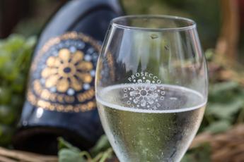 Prosecco Doc: il 2022 chiude con il segno positivo