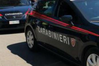 Trento, giovane runner trovato morto nei boschi: forse ucciso da orso