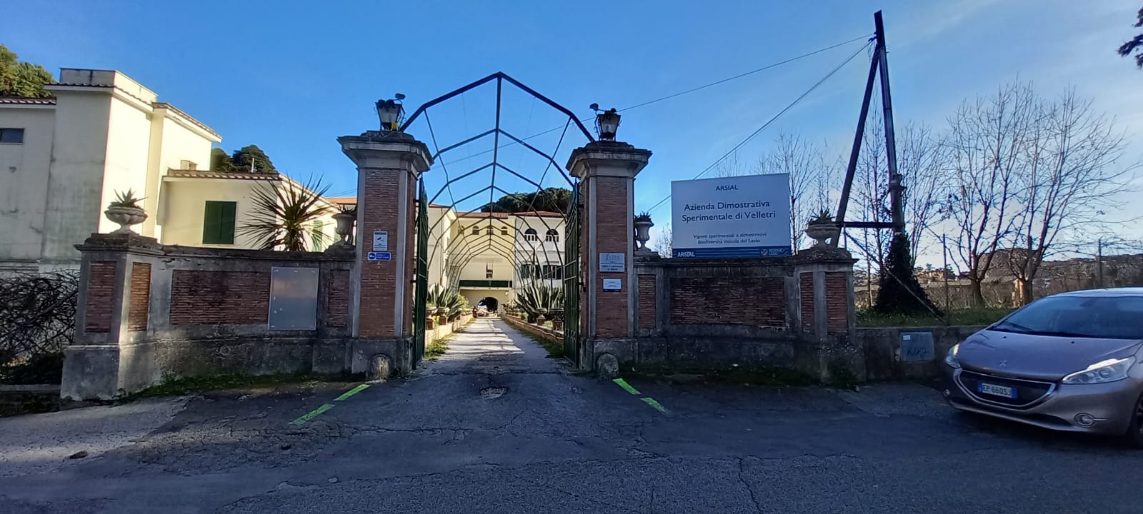 Velletri, inaugurato il nuovo camelieto al parco Muratori. Sabato prossimo la 27esima edizione della Festa delle Camelie