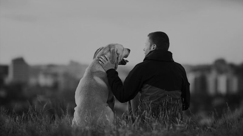 Marino: Patentino l’uomo e il cane