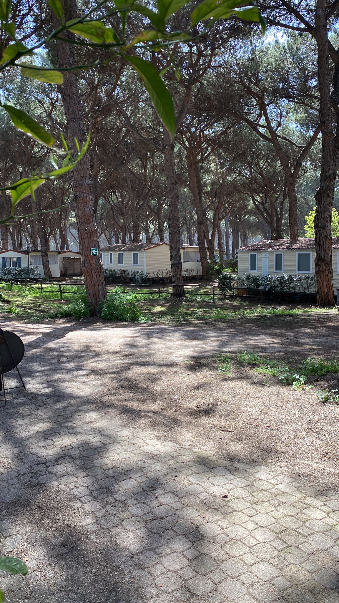 Anzio, fermato dalla sicurezza interna al Parco della Gallinara il ladro seriale