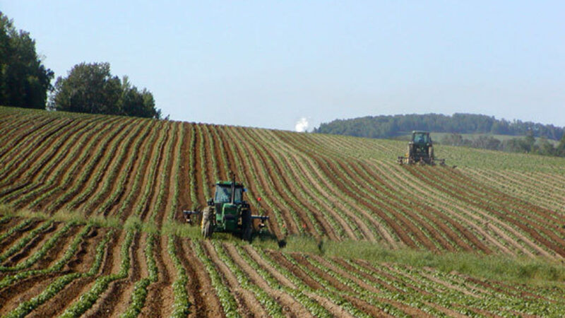 Castelli Romani: gli agricoltori del Lazio dell’associazione Aspal esprimono solidarietà a quelli dell’Emilia Romagna