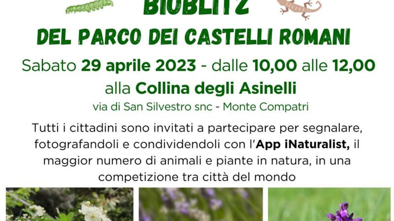 Il Parco al “City Nature Challenge” 2023