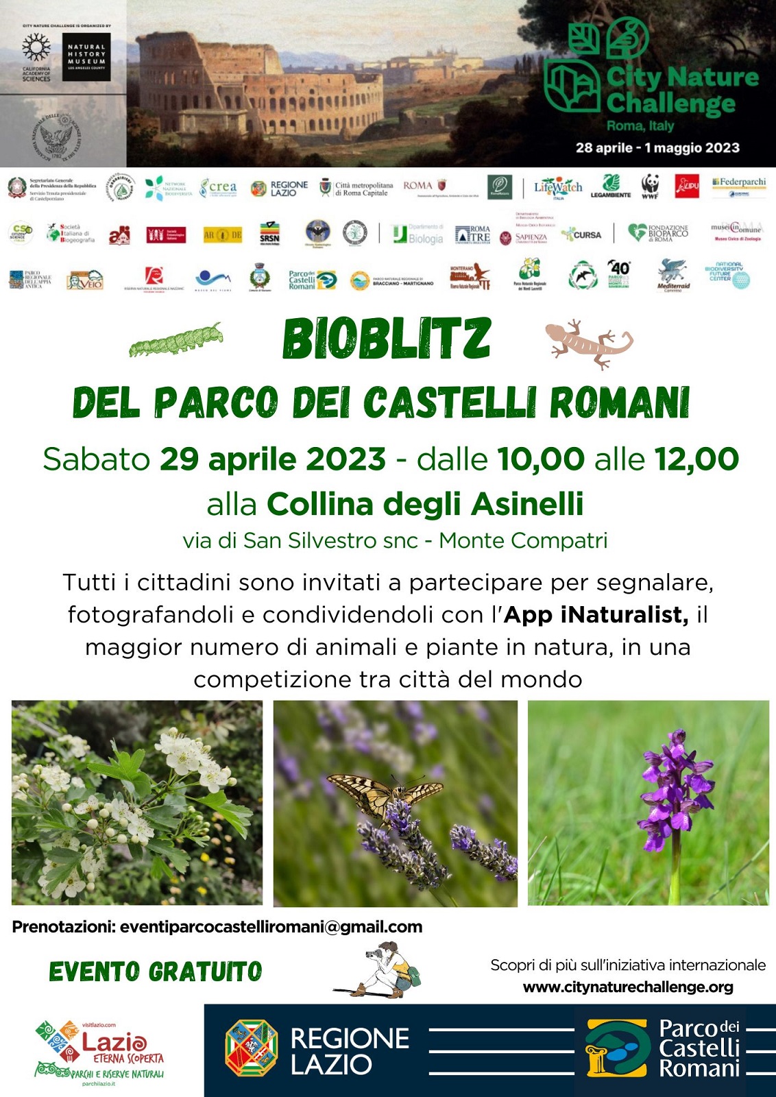 Il Parco al “City Nature Challenge” 2023