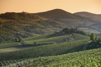 10 vini toscani tutti da scoprire