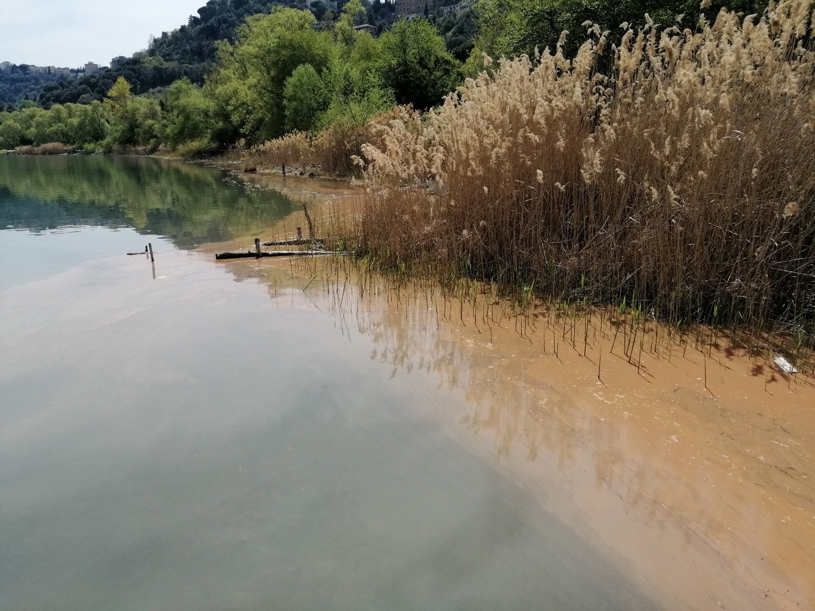 L’abbassamento dei laghi è raddoppiato: i cambiamenti climatici peggiorano la situazione dei Laghi dei Castelli Romani