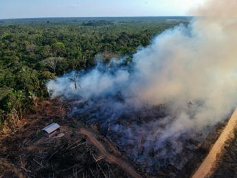 Gb, Sunak vede Lula: “80 milioni di sterline per l’Amazzonia”