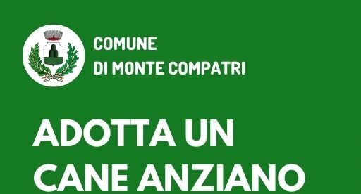 Monte Compatri – Dal comune un bonus economico per chi adotta un cane anziano