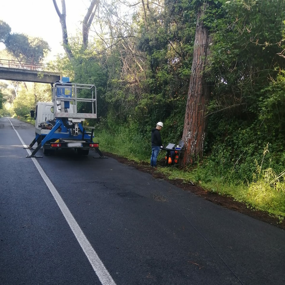 Castel Gandolfo, controllo degli alberi su via Papalina per poterla riaprire