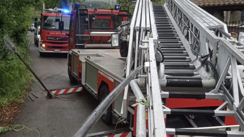 Rocca di Papa, riaperta via Marino Campagna dopo l’intervento dei vigili del fuoco a causa di un albero caduto