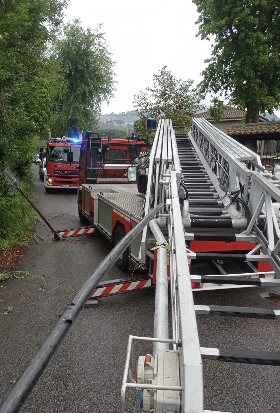 Rocca di Papa, riaperta via Marino Campagna dopo l’intervento dei vigili del fuoco a causa di un albero caduto