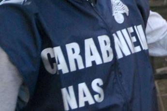 Carcere Bollate, muri scrostati e scarafaggi: Nas chiudono la mensa