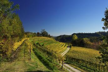 Dentro la DOCG del Prosecco