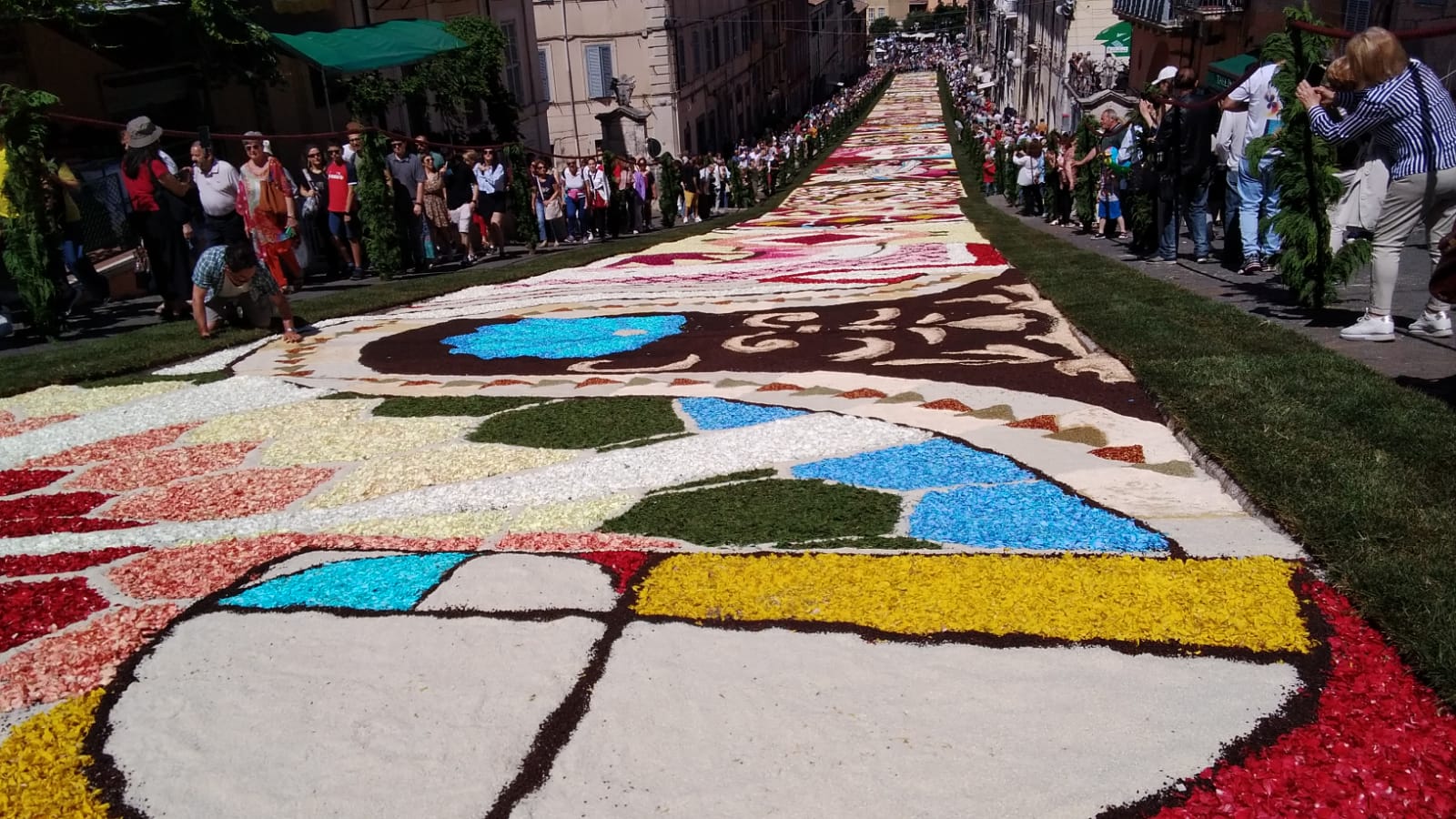 Genzano, realizzati i quindici quadri dell’infiorata. Oggi l’inaugurazione