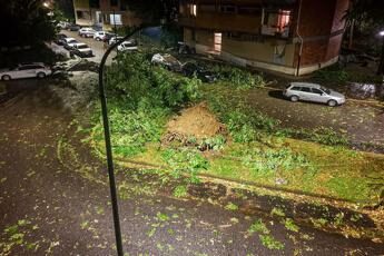 Milano, violento nubifragio nella notte: alberi caduti e tetti scoperchiati