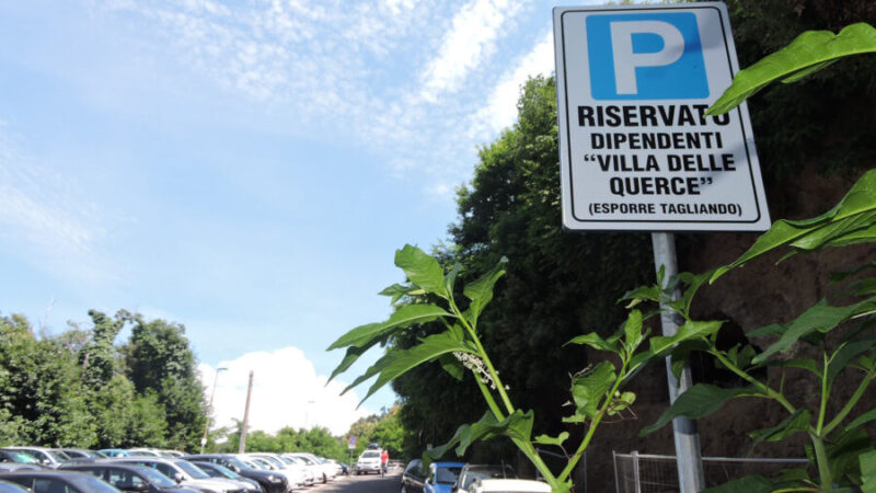 Nemi, partita la sosta a pagamento in centro, trovate alcune soluzioni anche per i dipendenti di Villa delle Querce – Foto