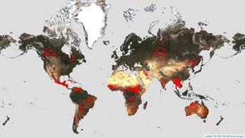 ESA riapre il World Fire Atlas per monitorare online gli incendi boschivi