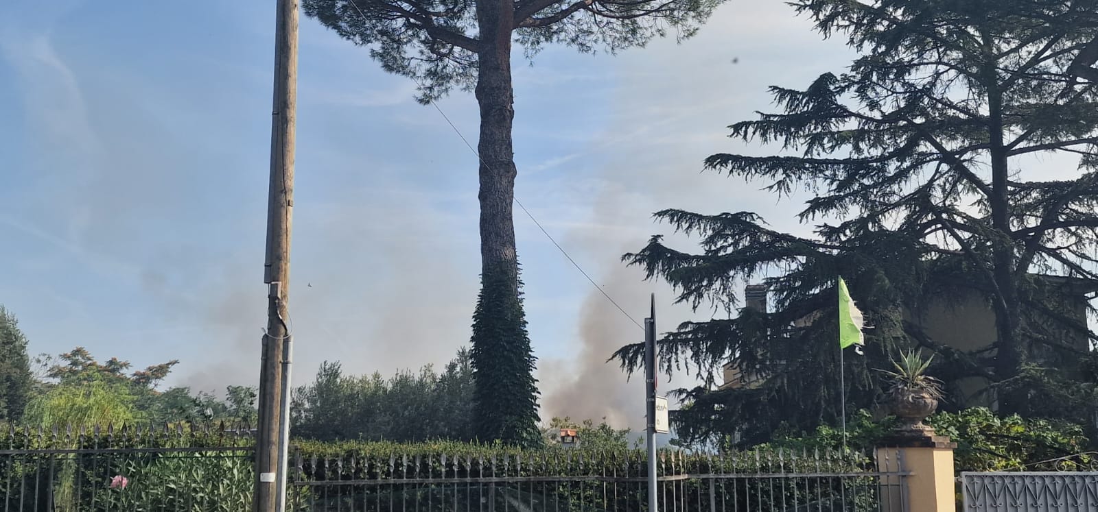 Santa Maria delle Mole (Marino) ripartiti alcuni focolai nella pineta Tudini