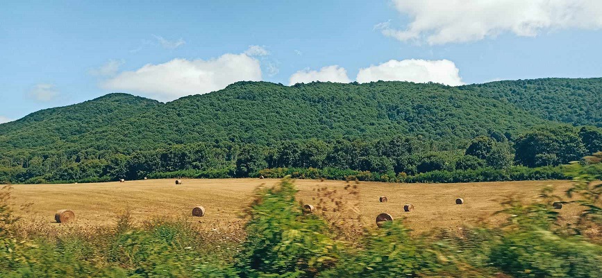 Ferragosto al Parco dei Castelli Romani