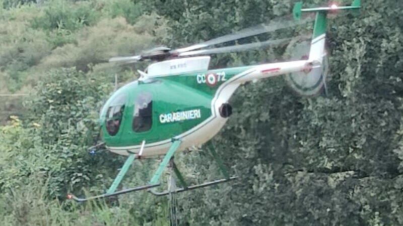 Artena-Lariano, rimossa struttura per la cattura di rapaci protetti, all’interno del bosco tra le due cittadine