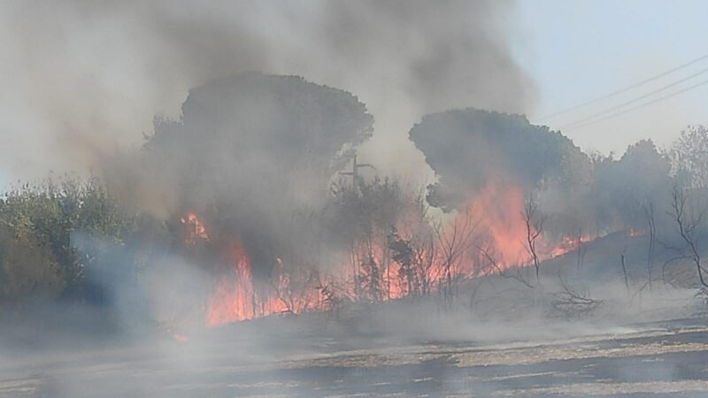 Santa Maria delle Mole (Marino), bonificato in serata l’incendio della Pineta Tudini