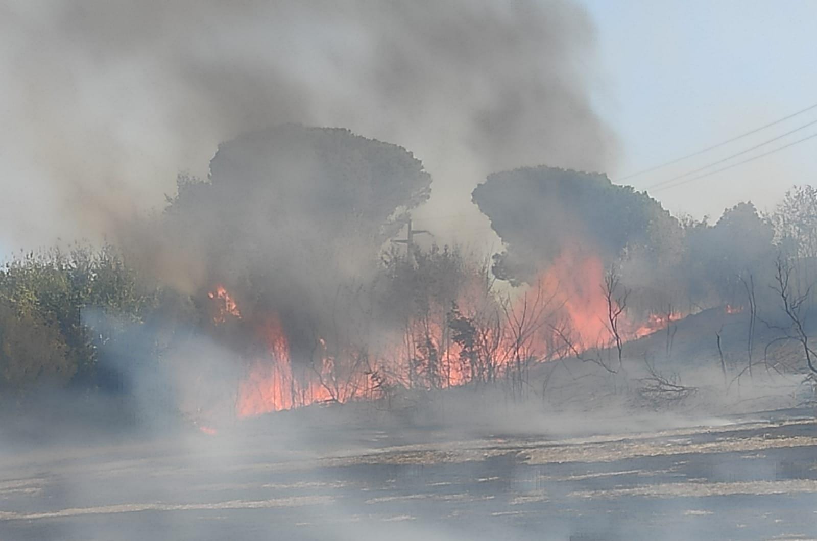 Santa Maria delle Mole (Marino), bonificato in serata l’incendio della Pineta Tudini