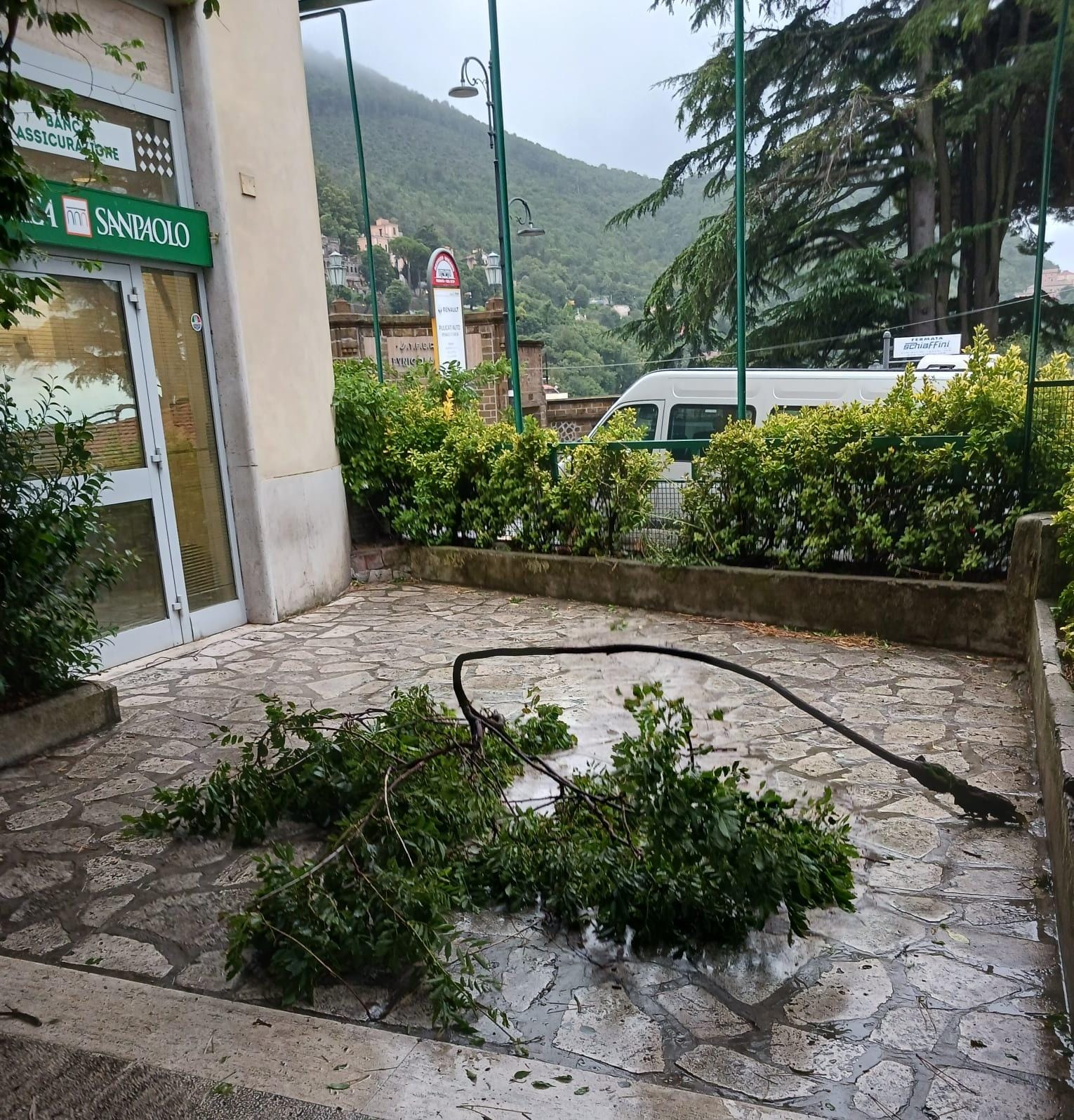 Castelli Romani, vento forte e maltempo. Strage di alberi e pali durante la notte